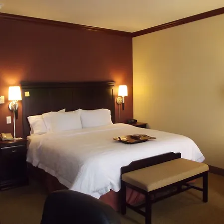 Hampton Inn & Suites Gainesville-3