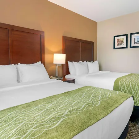 Comfort Inn & Suites Near Jfk Air Train-3