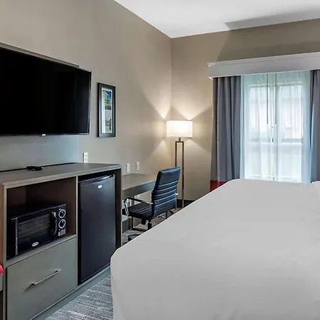 Comfort Inn & Suites Olive Branch Old Towne-3