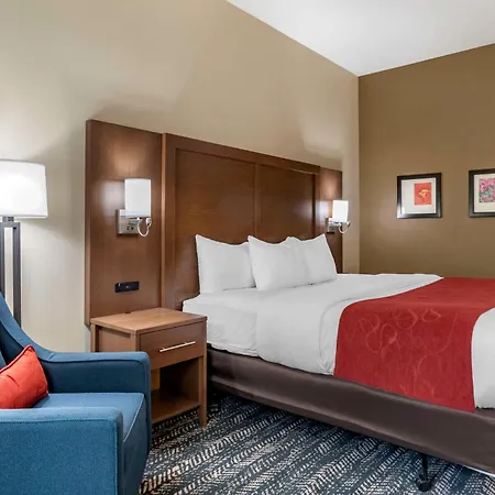 Comfort Inn & Suites Downtown Near University-2
