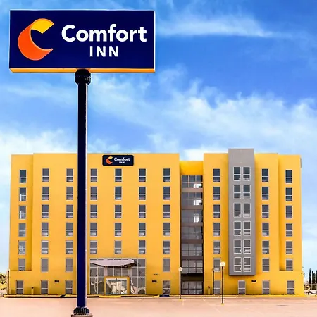 Comfort Inn Delicias-3