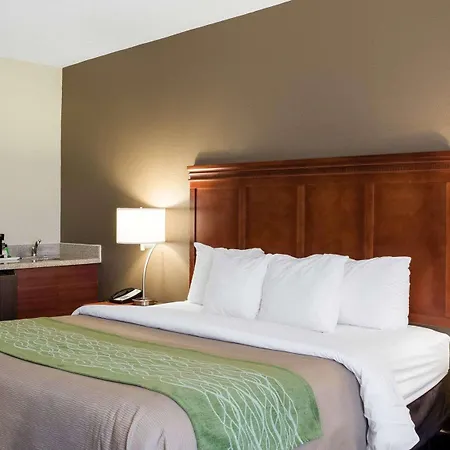 Quality Inn Cleveland, Ms-3