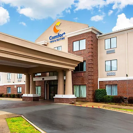 Comfort Inn & Suites Pine Bluff-2