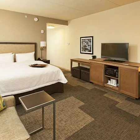 Hampton Inn Hibbing-3