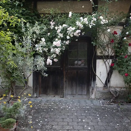 villaflora Gästehaus-2