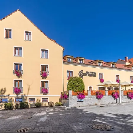 Spa Hotel Centrum-3