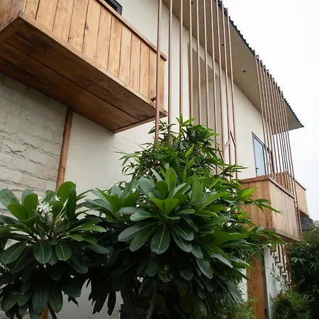 Palm Villas-3