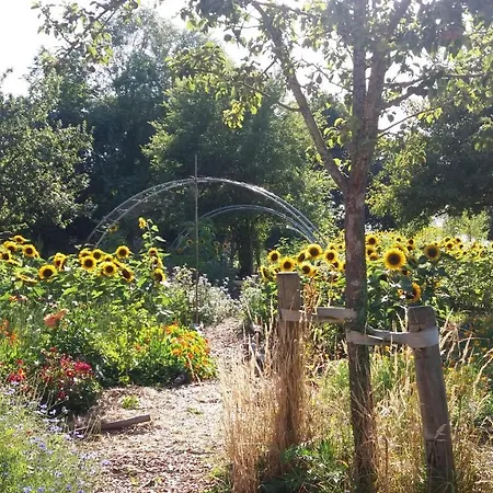 De Geheime Tuin - Boshuis-3