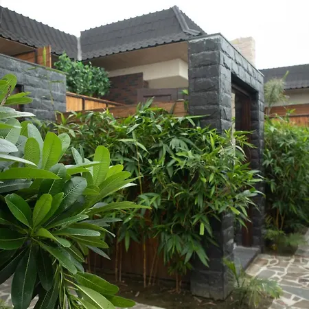 Palm Villas-2