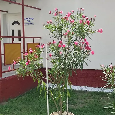 Rakos-Patak Family House Garden & Free Parking-3