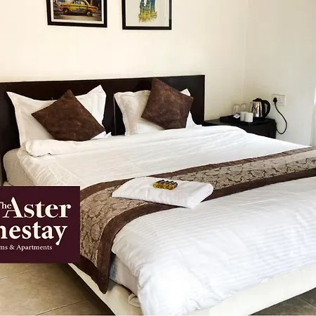 The Aster Homestay - Bedrooms & Apartments-2