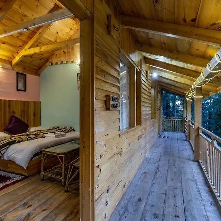 Mid Conifer Cottage-3