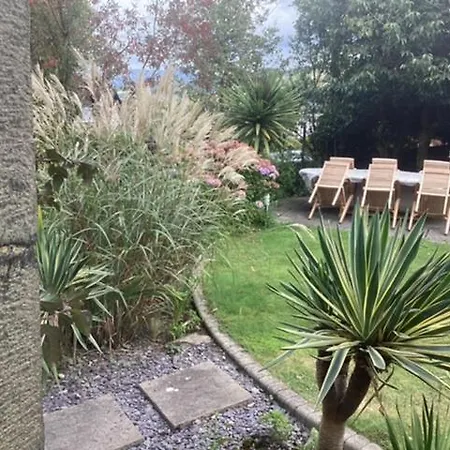 Brynffynnon Boutique Bed And Breakfast-3