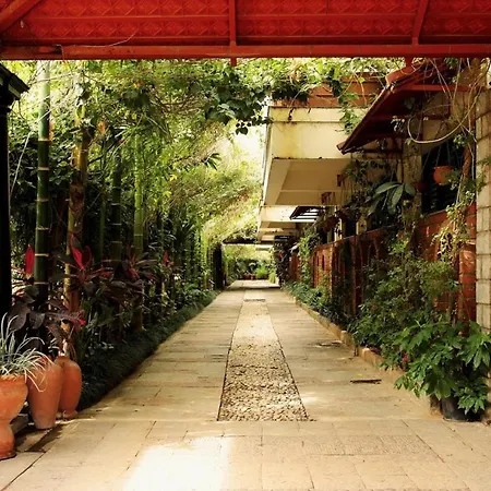 The Green Path Eco Hotel-3