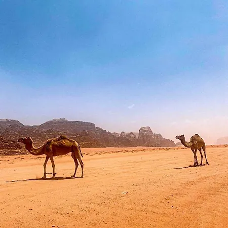 Wadi Rum Polaris Camp-2