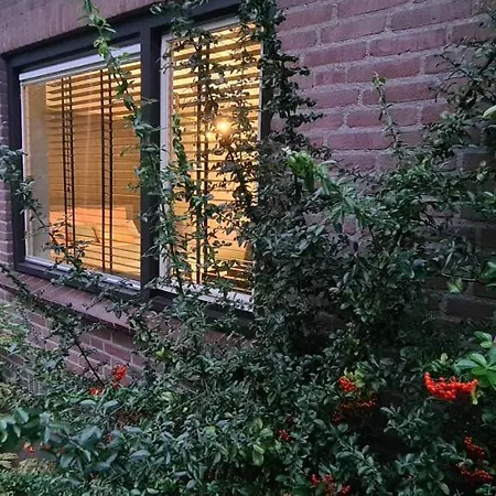 Bij Ons Naast-2