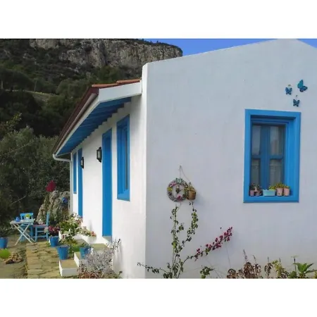 Mavi Kelebek Datca-3