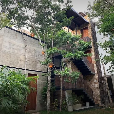 La Casa De Maria 11:11-2