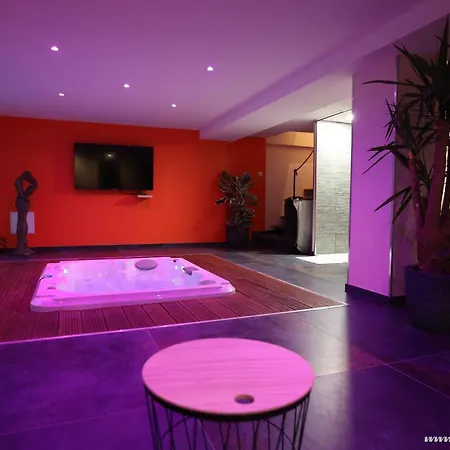 Ds Plaisir Love Room avec sauna, jacuzzi à Nancy-3
