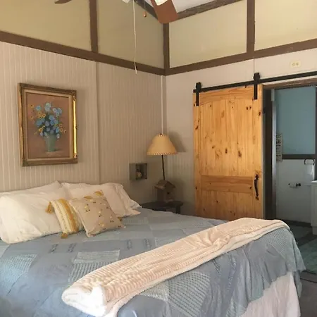 Acorn Hideaways Canton Sweet Tweet Guesthouse King Bed-3
