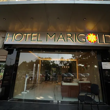 Hotel Marigold-3