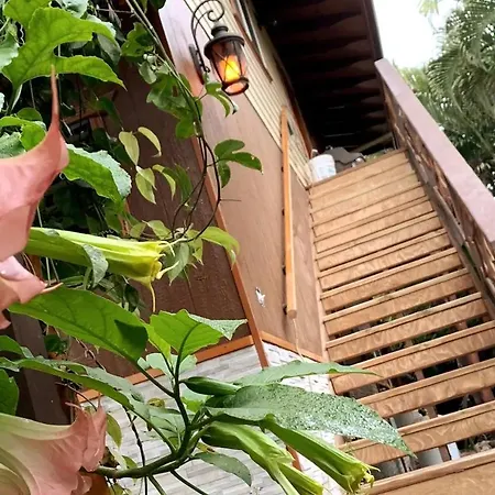 Phoenix Garden-2