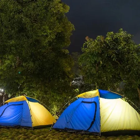Dandeli Jungle Resort-2