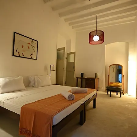 La Cedille - French Heritage House-2