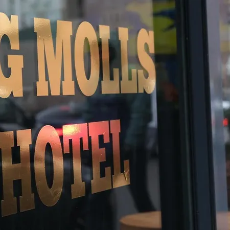 Big Molls Hotel-3