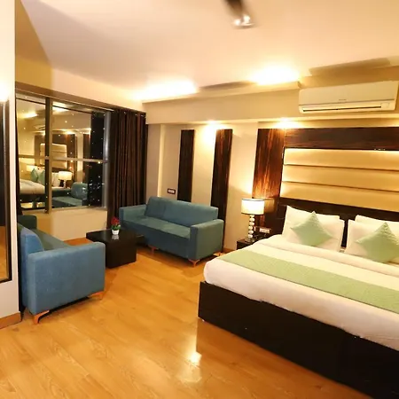Hotel Palm Grand Naraina New Delhi - Couple Friendly Local Ids Accepted-2