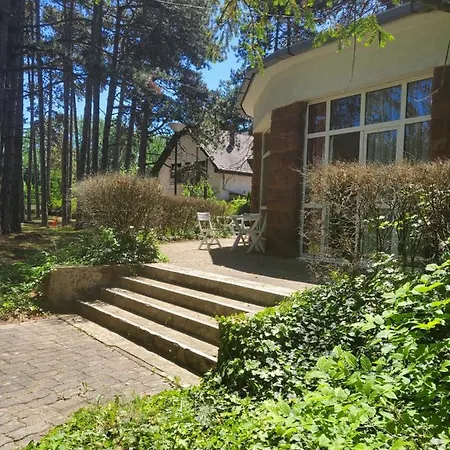 Liget Üdülő Siófok-3