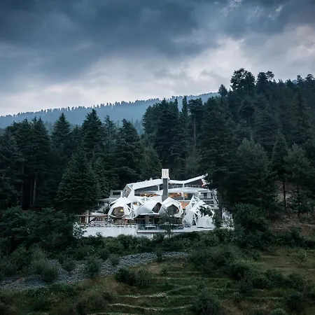 Tree Of Life Eila Art Hotel, Manali-2
