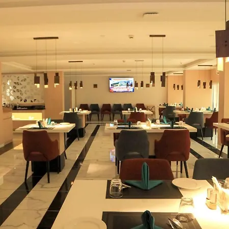 Mastiff Hotel Ankleshwar-3