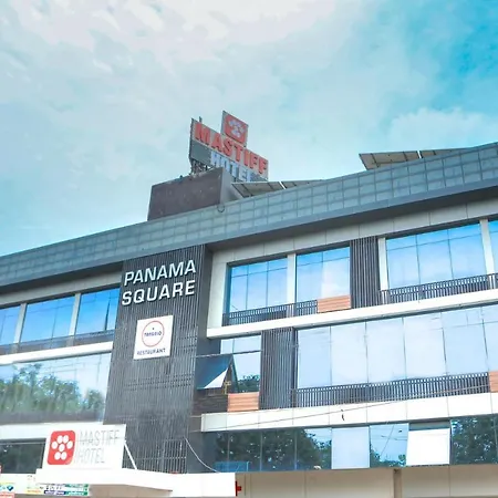 Mastiff Hotel Ankleshwar-2