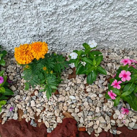 Hotel Casa Tago-3