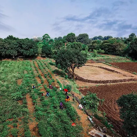 V J Farmstay-2