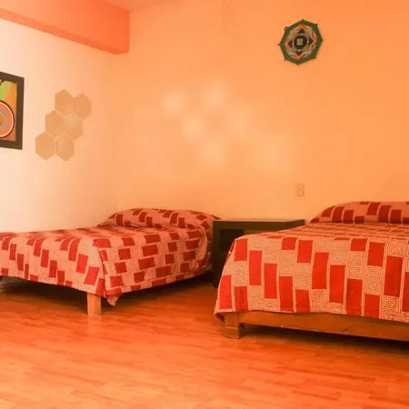 Hotel Alika-3
