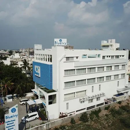 Hotel Blueivy Anand-2
