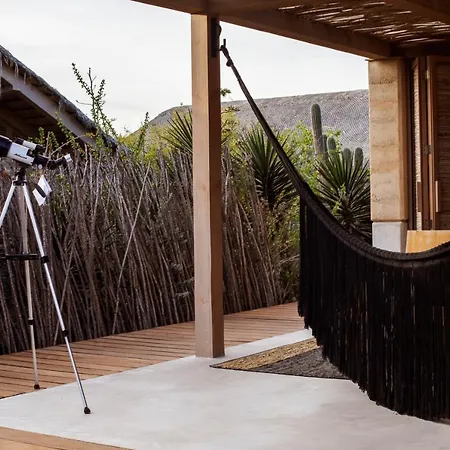 El Perdido Desert Dream- Todos Santos Adults Only-2