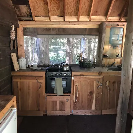 Cutest Little Cabin In The Woods-3