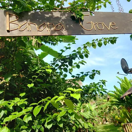 Banana Grove El Nido-3