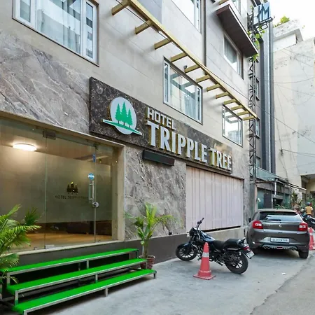 Hotel Tripple Tree - Near Ganga Ram & Blk Hospital - Karol Bagh-2