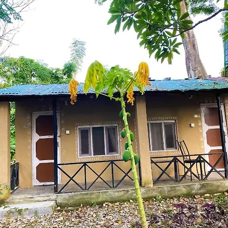 Nature Safari Camp-2