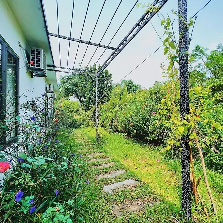 Rose Villas & Resort - Ba VI-2