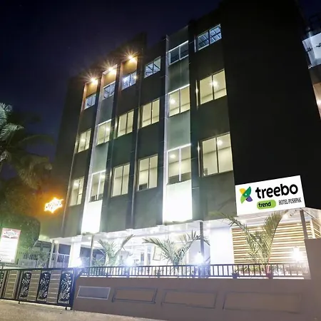 Treebo Pushpak 100 Mtrs From Chottanikkara Temple-3