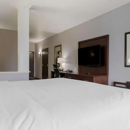 Comfort Suites Paducah Mall Area-3