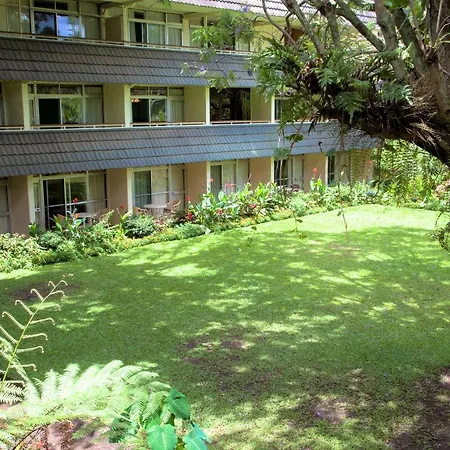 Bird Of Paradise Hotel-2