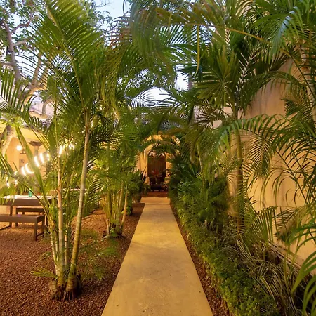 Mango House - Galle Fort-3