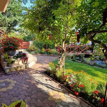 Veronika Villa-3