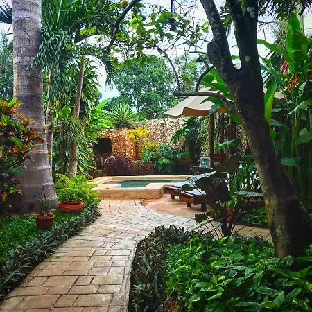 Casa Tia Micha-2